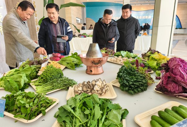 北京丰台亮出蔬菜新品种，这些药食同源野菜邀您“涮”起来